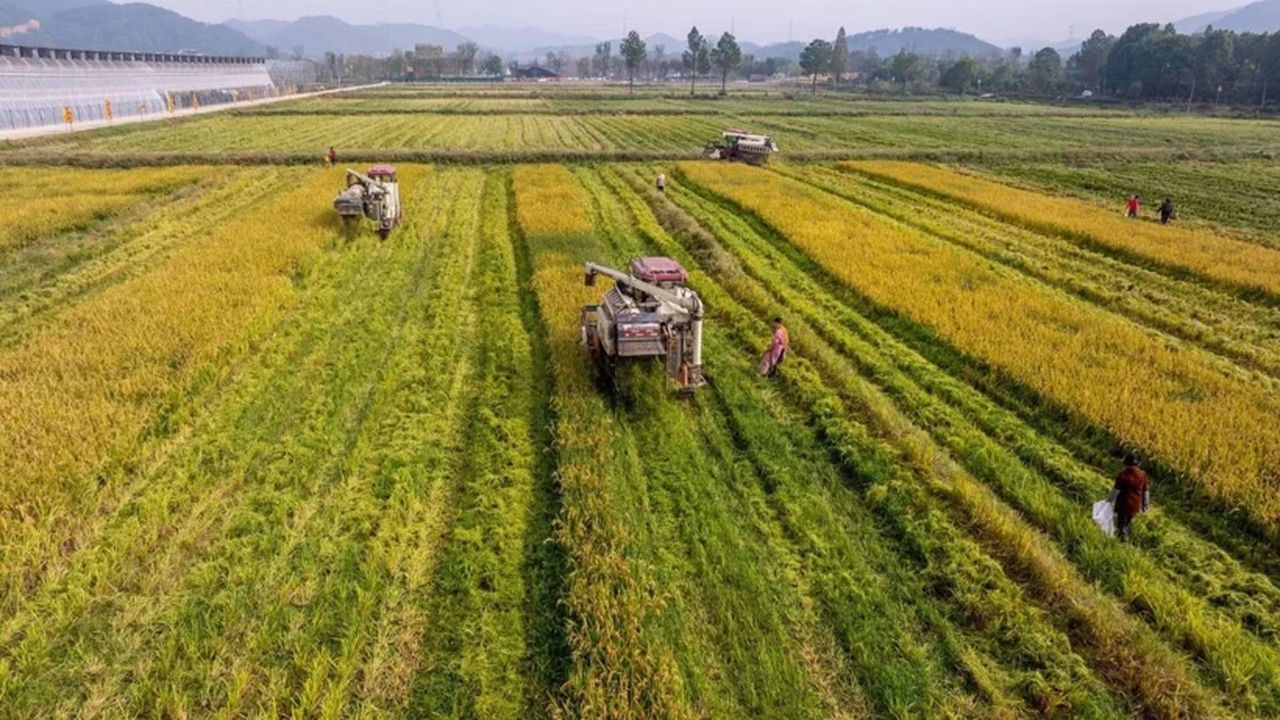 Tarımda dev destek paketi açıklandı: 30 milyon TL’ye kadar hibe fırsatı